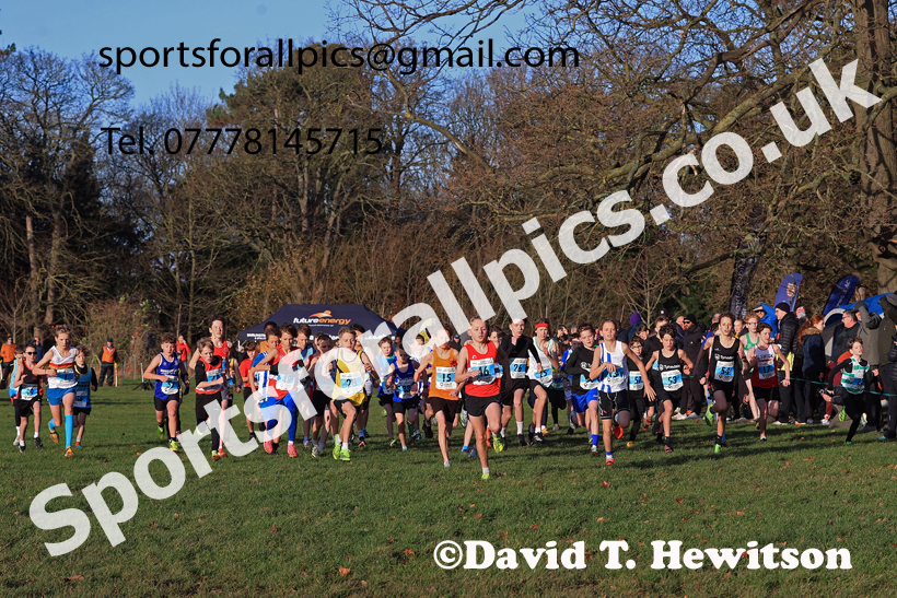 Boys Under-13s 2025 North Eastern Champs. Photo: David T. Hewiton/Sports for All Pics